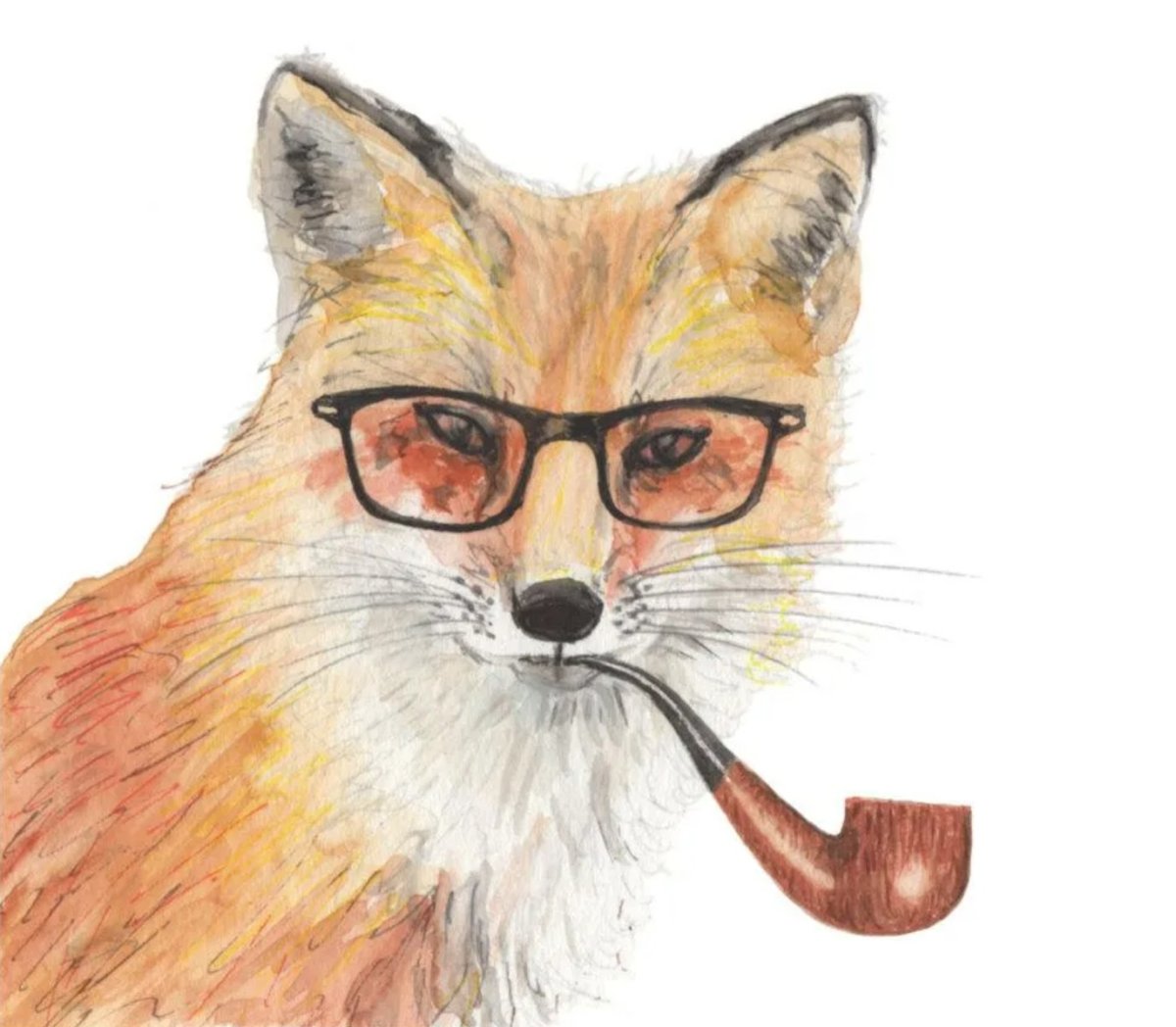 Лиса в очках рисунок