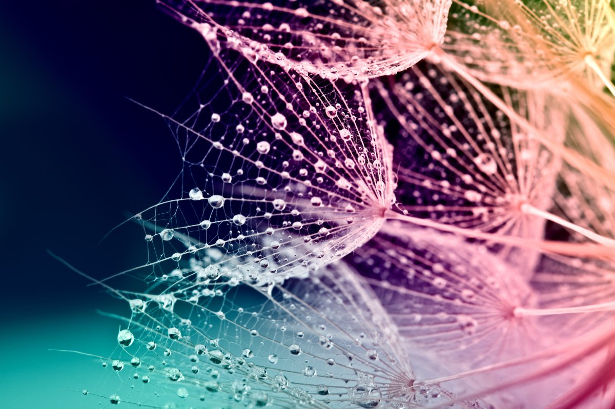 Заставки на главный экран телефона