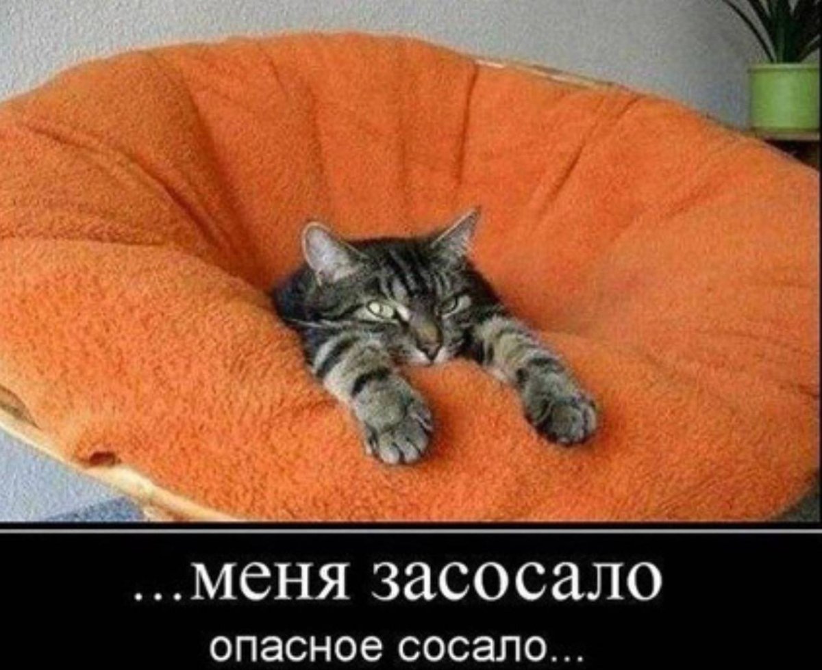 Завтра на работу картинки