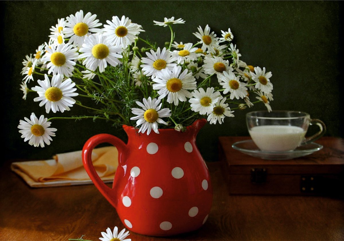 Букет ромашек в кувшине