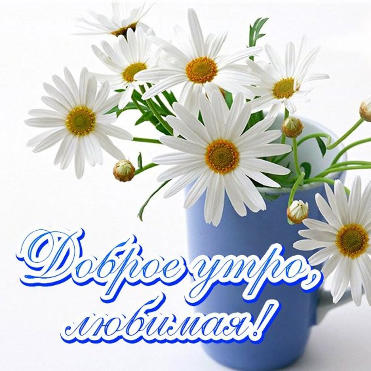 Доброе утро ромашки