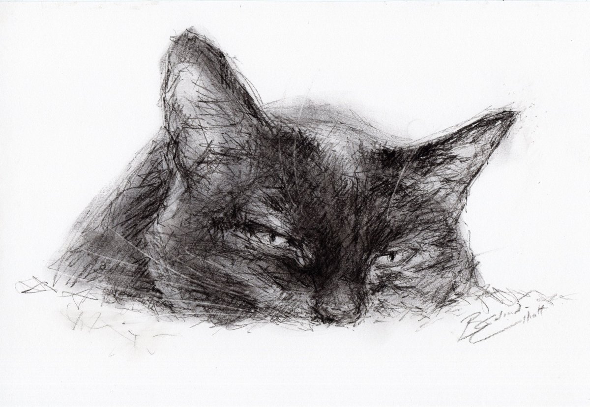 Уголь для рисования