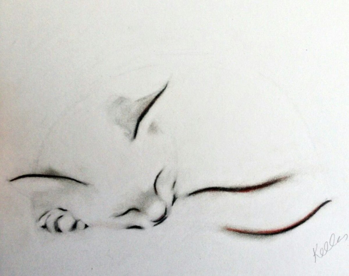 Рисунки углем для начинающих