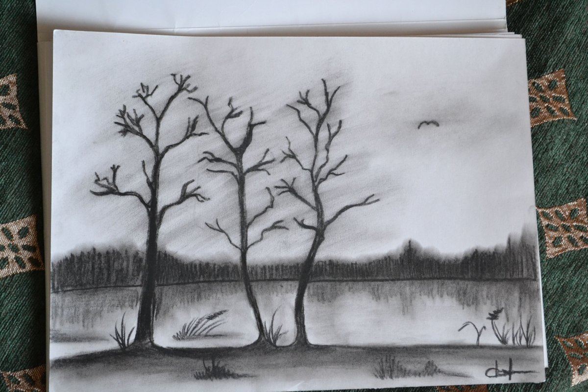 Рисование углем для детей