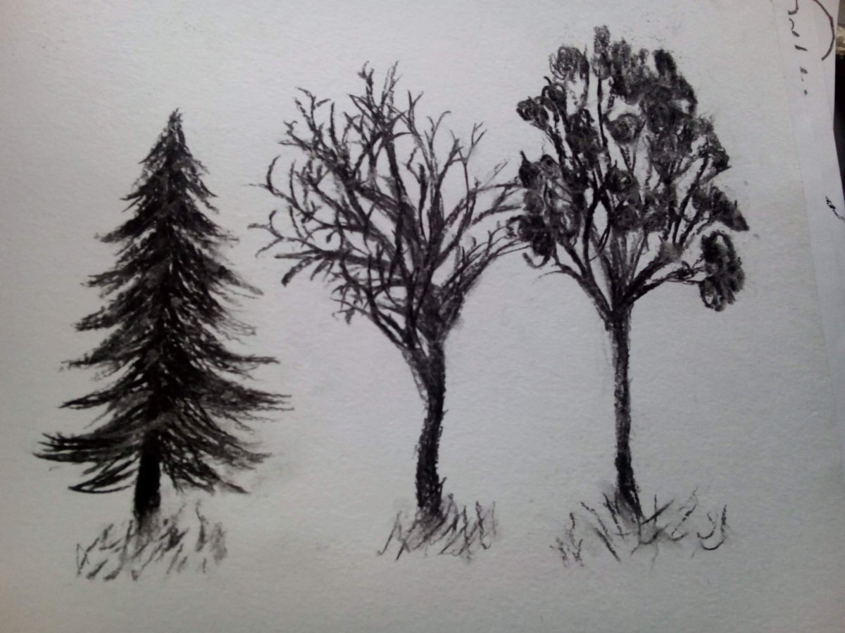 Рисование углем для детей