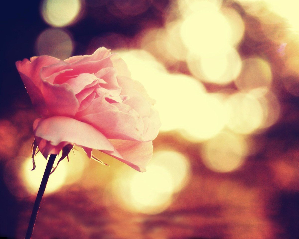 С днём рождения прикольные Единорог