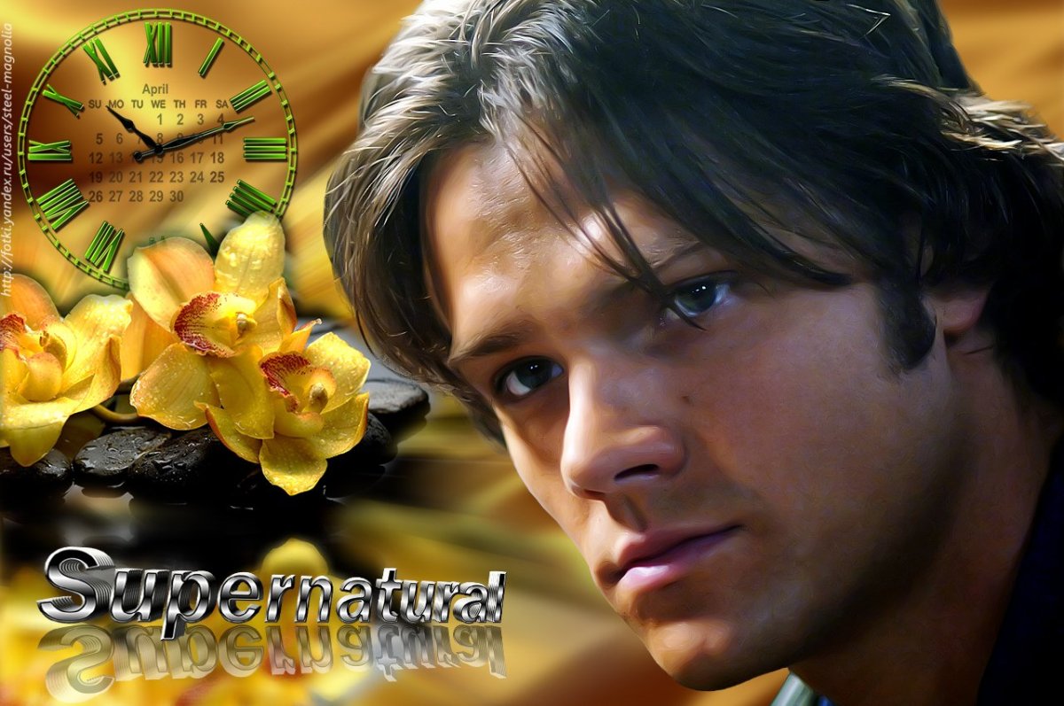 С днем рождения Рафаэлла