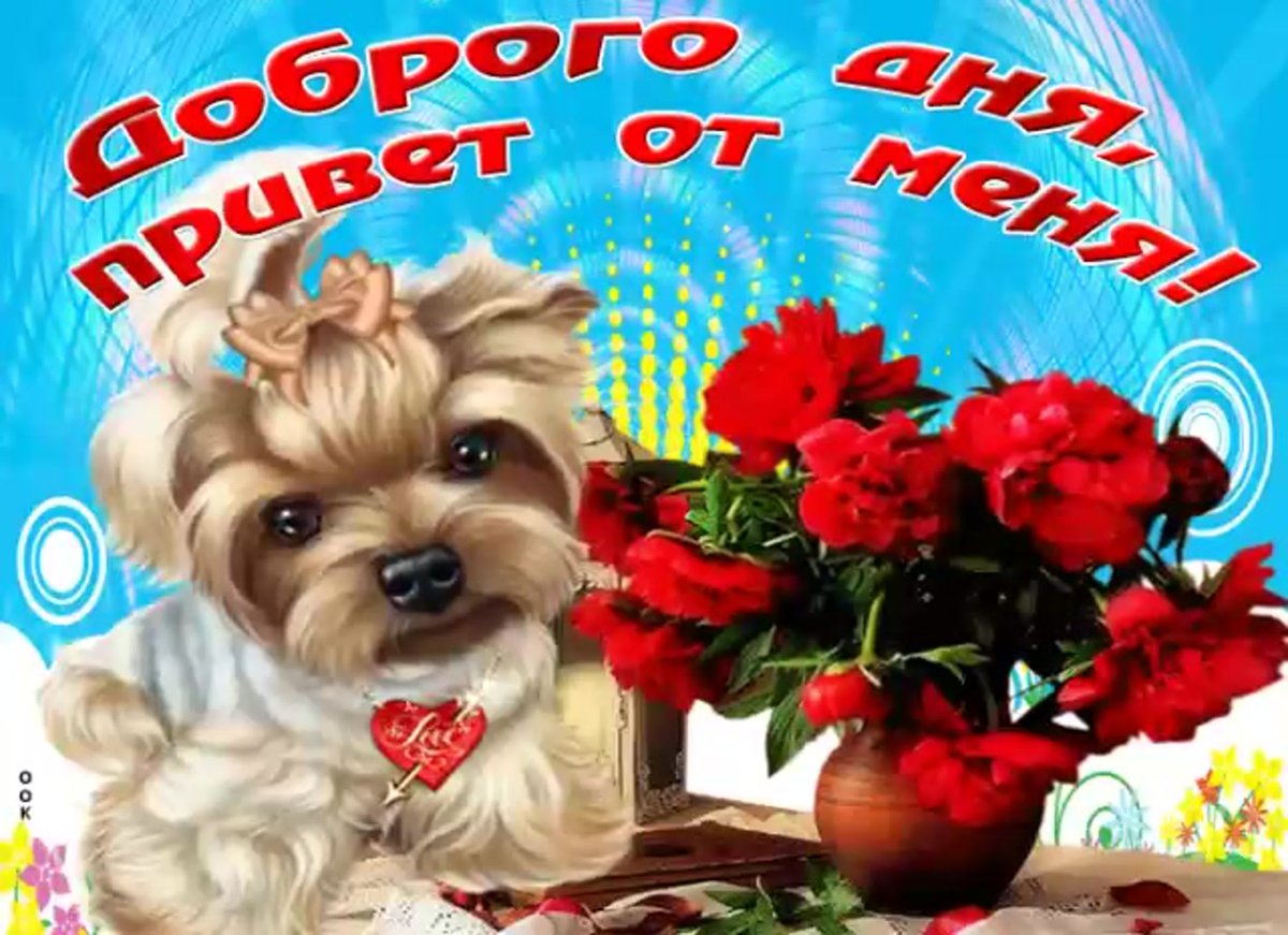 Приветик хорошего дня