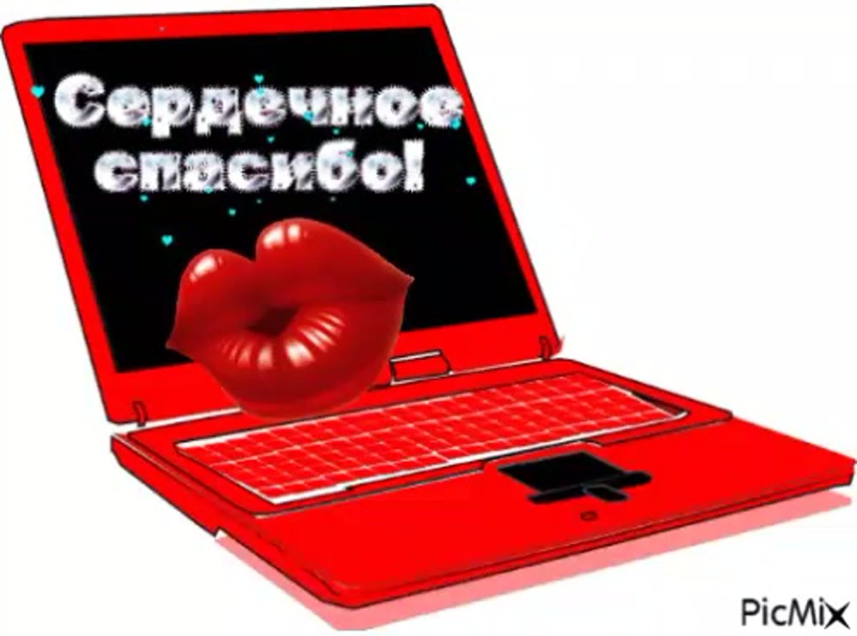 Доброе утро ромашки