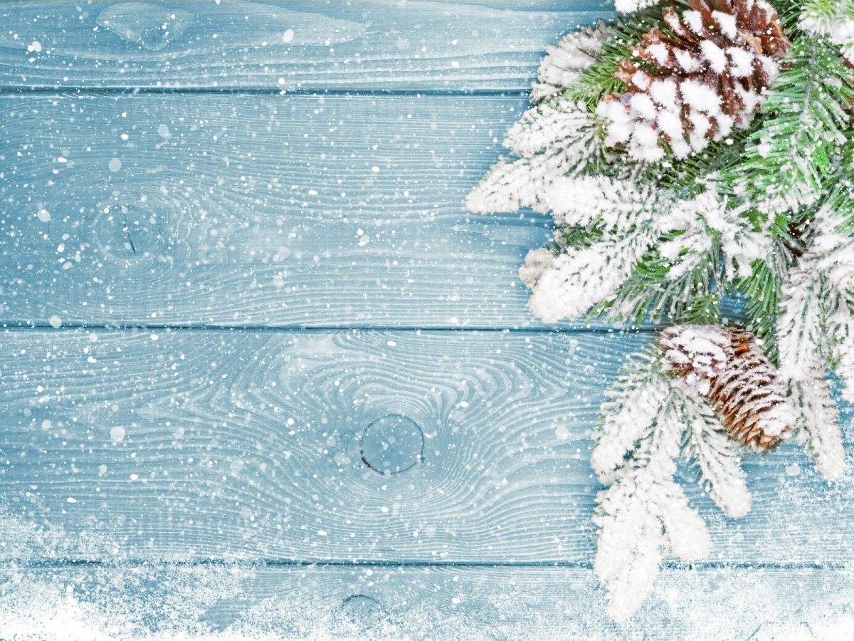 Хочется белого снега морозного синего дня