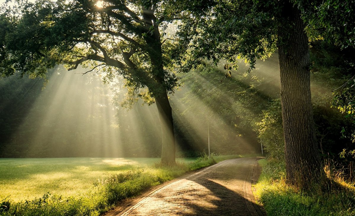 Солнечный пейзаж