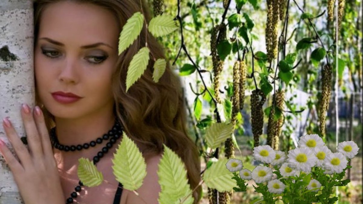 Подружки Березки