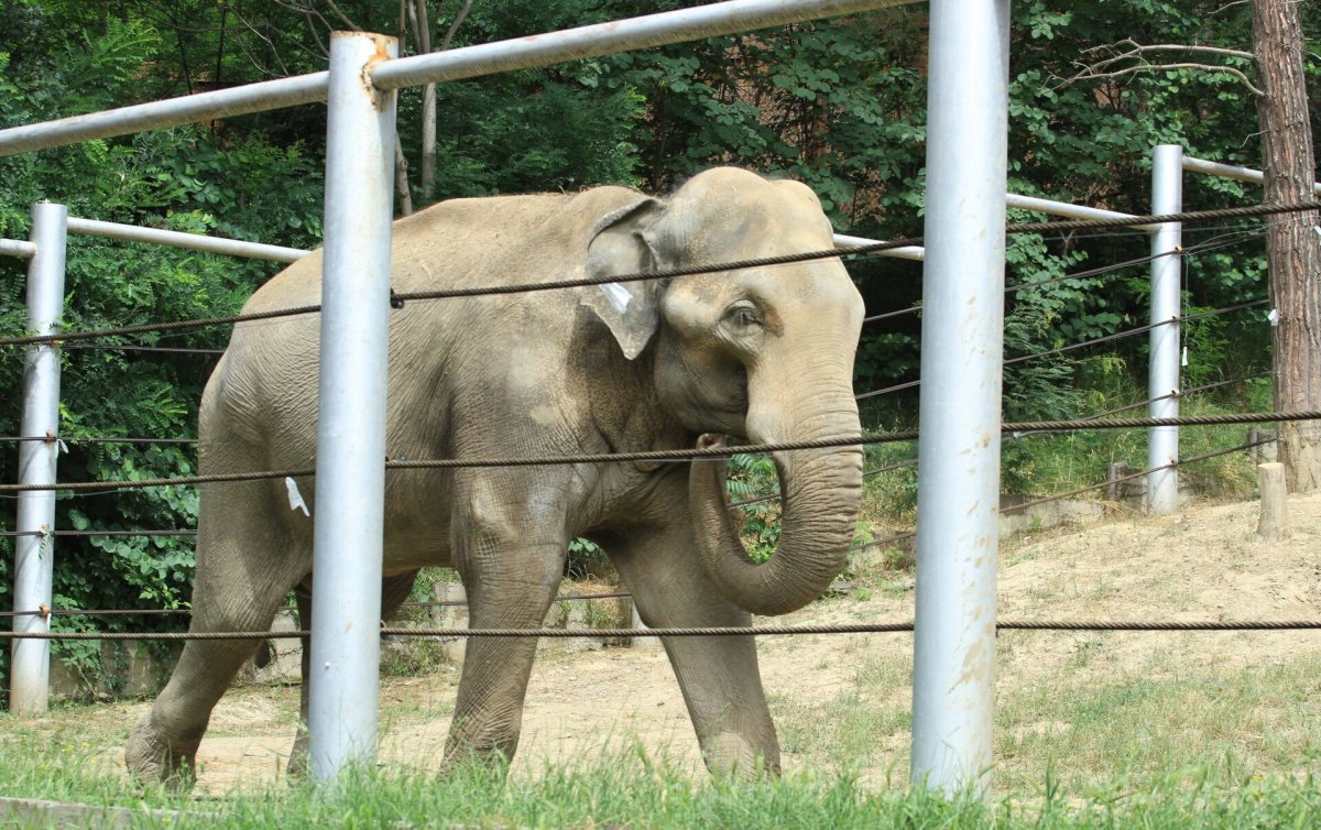 Работник зоопарка