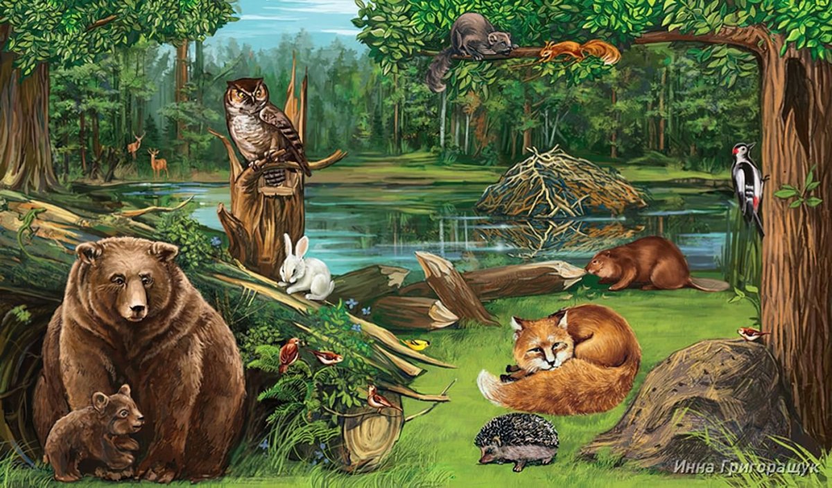 Лесные обитатели