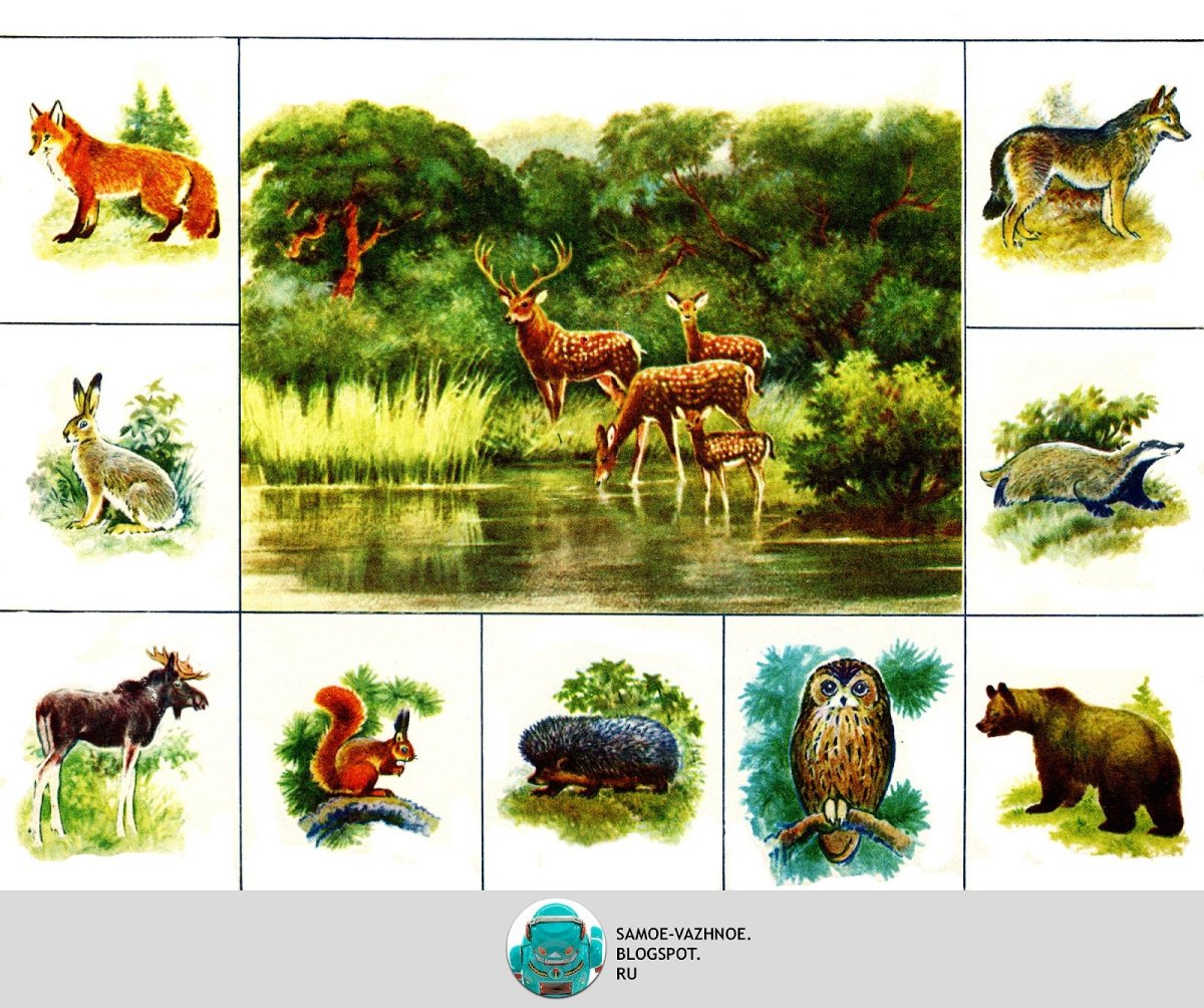 Игра зоологическое лото для дошкольников