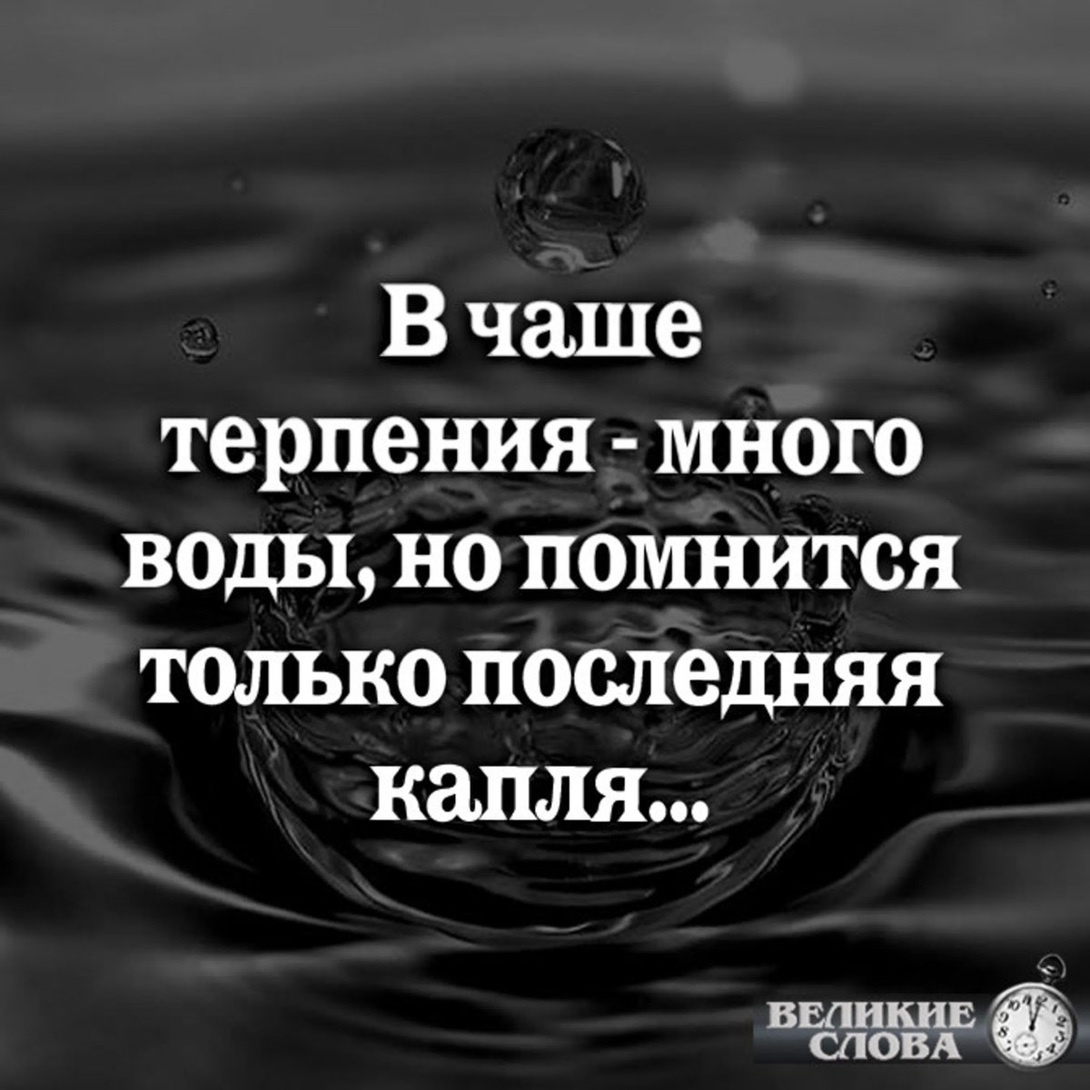 Афоризмы про терпение