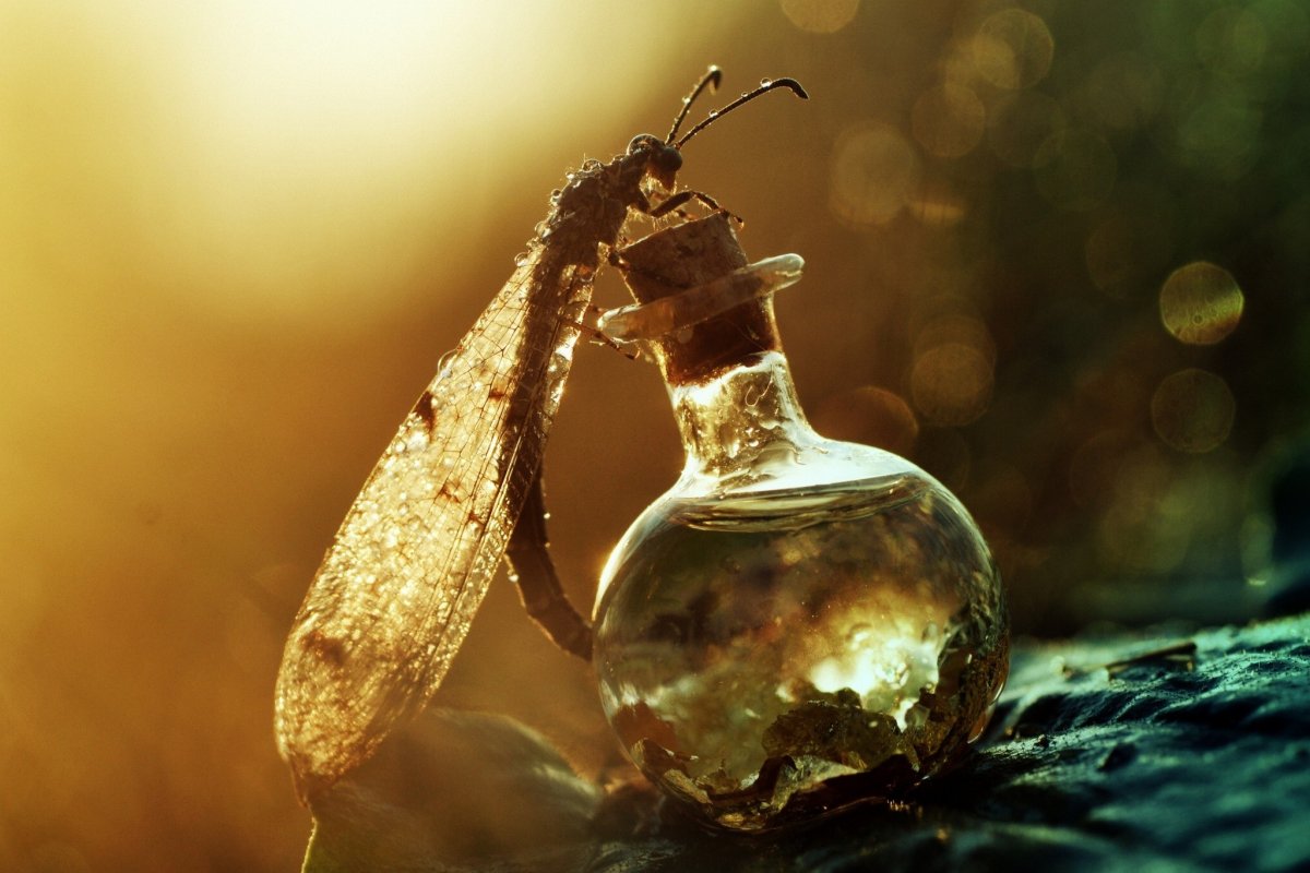 Макросъемка воды