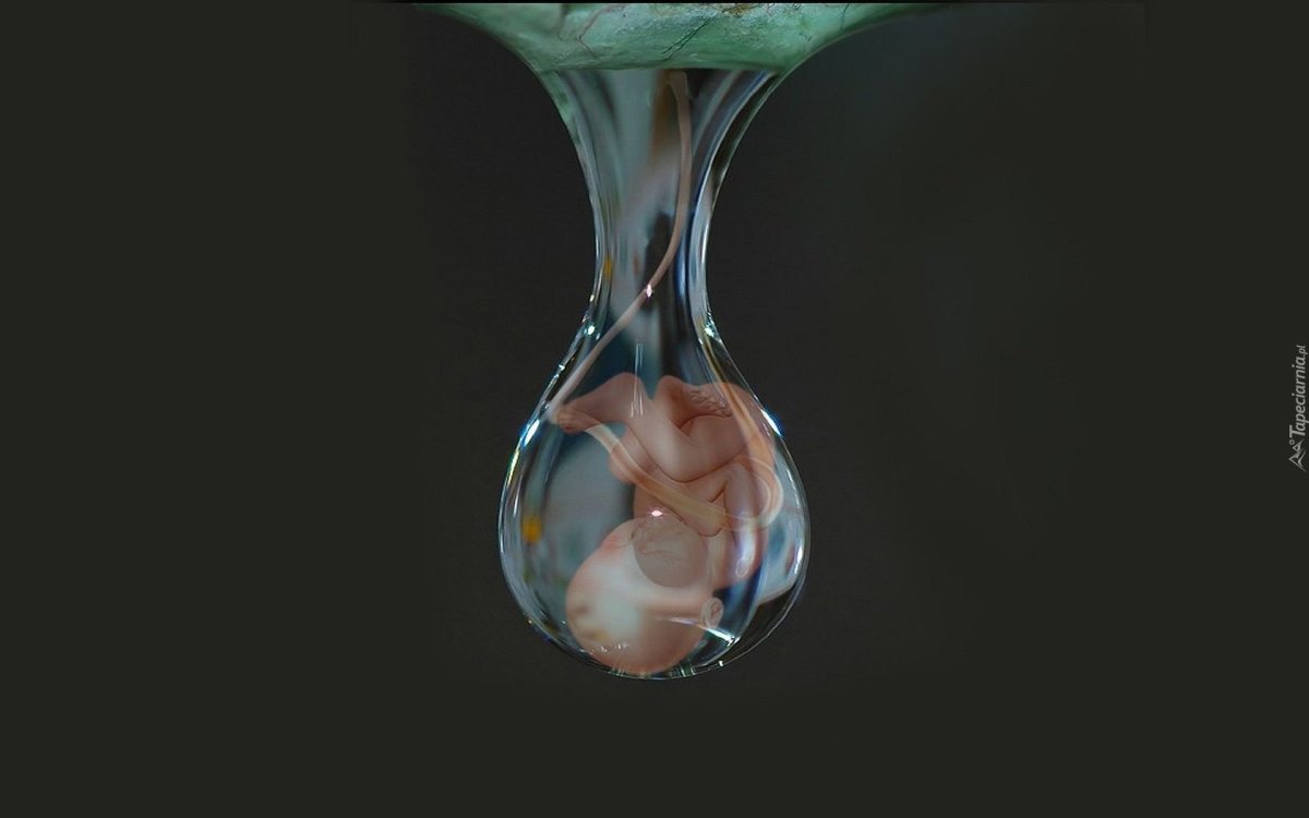 Жизнь в капле воды