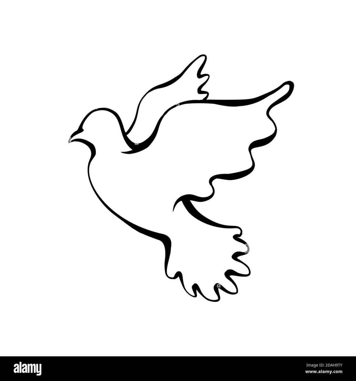 Контур голубя на белом фоне
