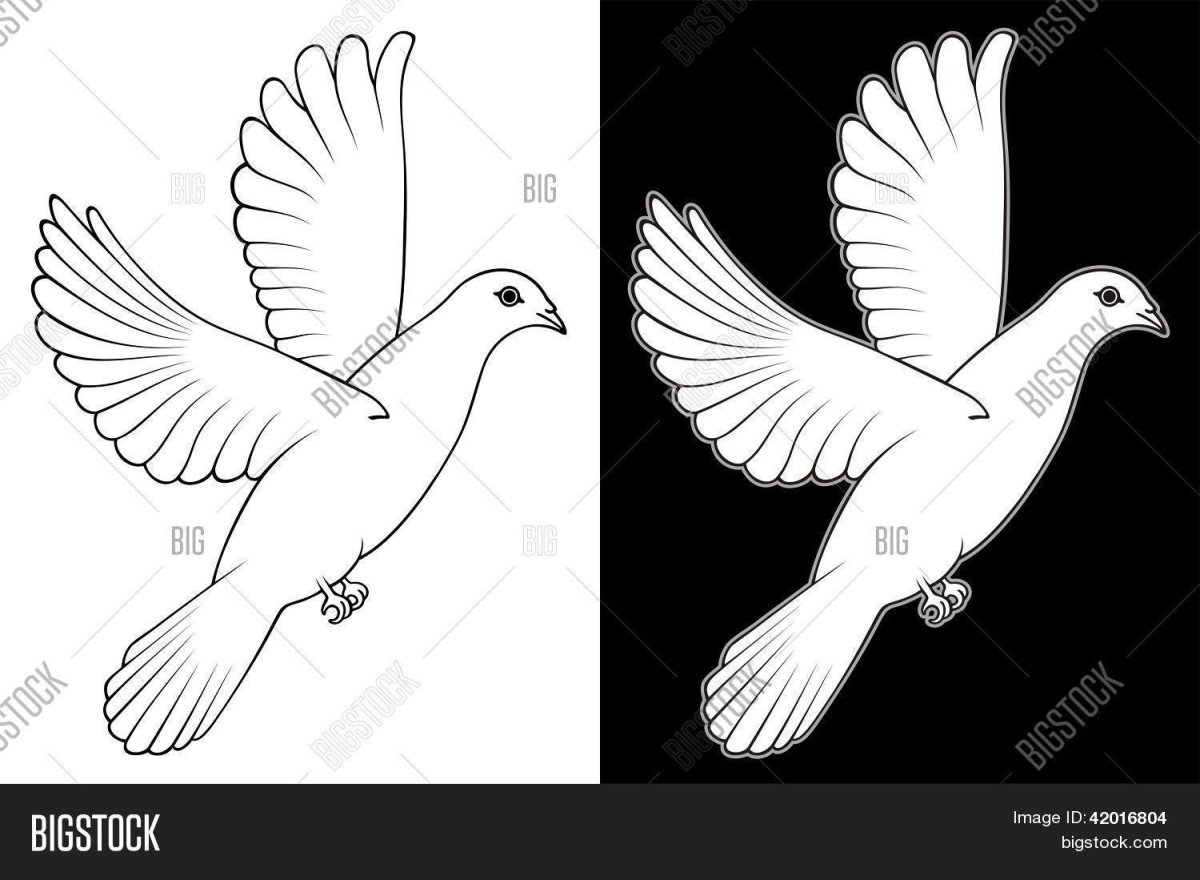 Белый голубь с георгиевской лентой