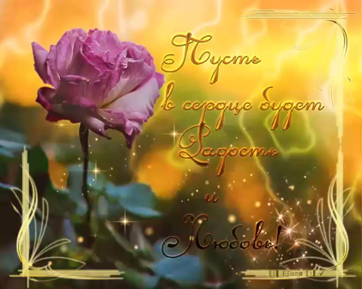 Пожелания доброго дня