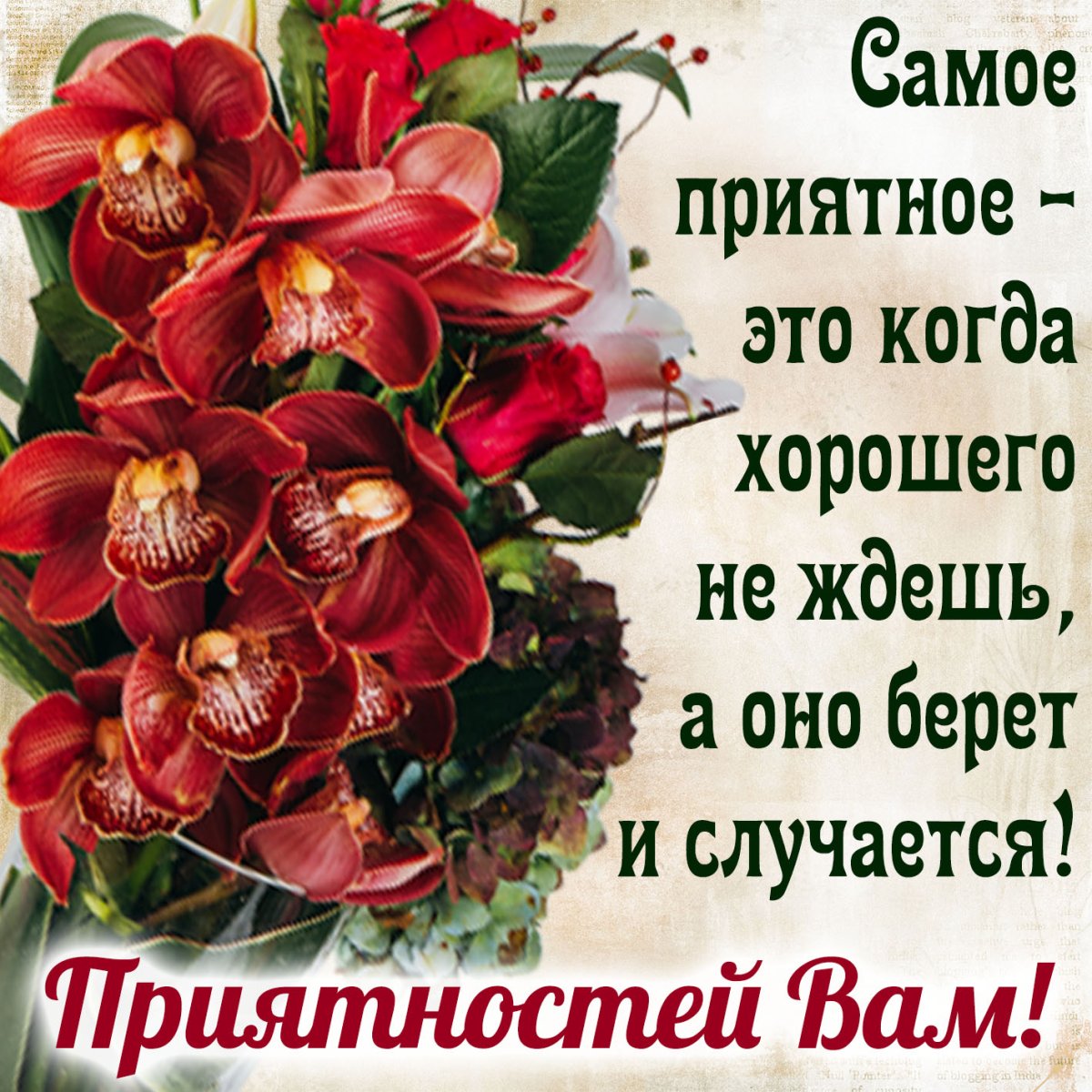 С добрым утром понедельника