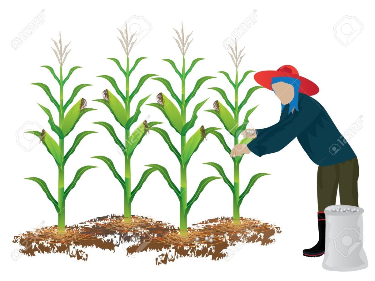 Агроном картинки