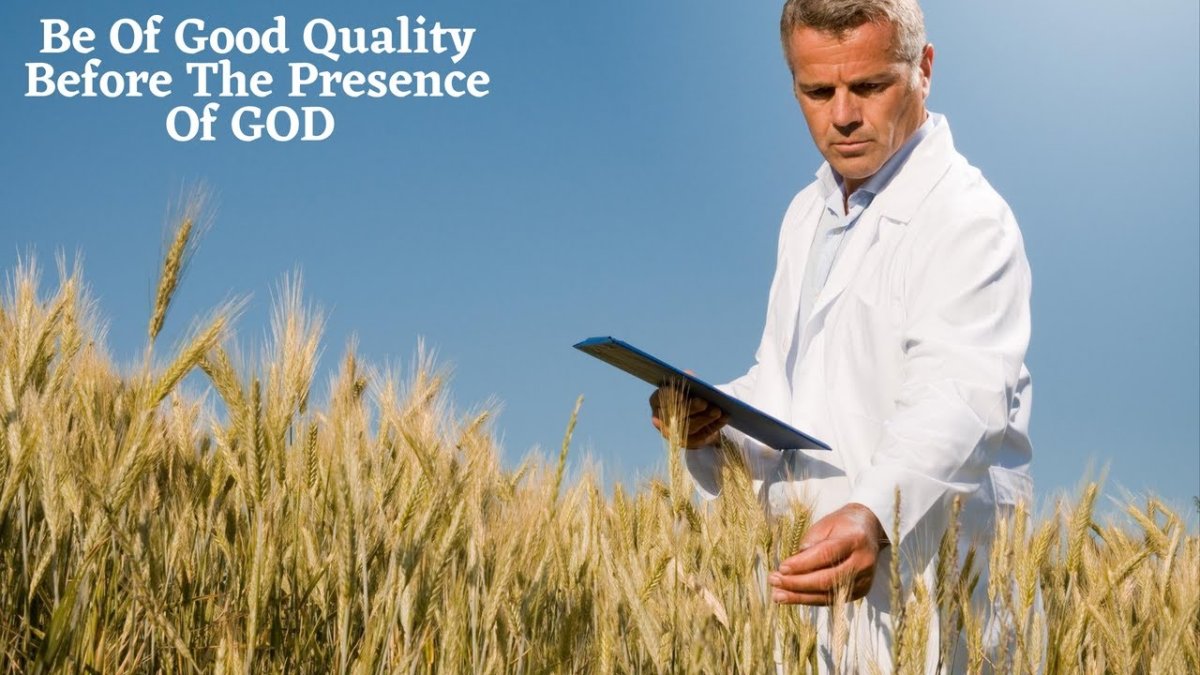 Агроном с урожаем