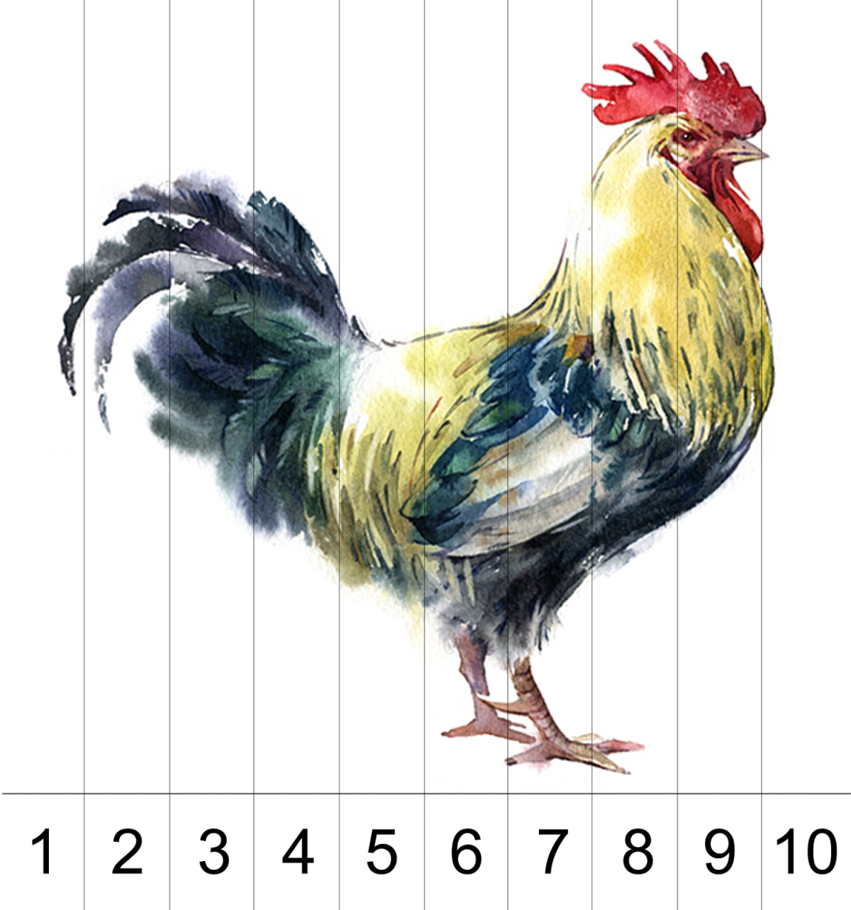 Пазлы домашние птицы