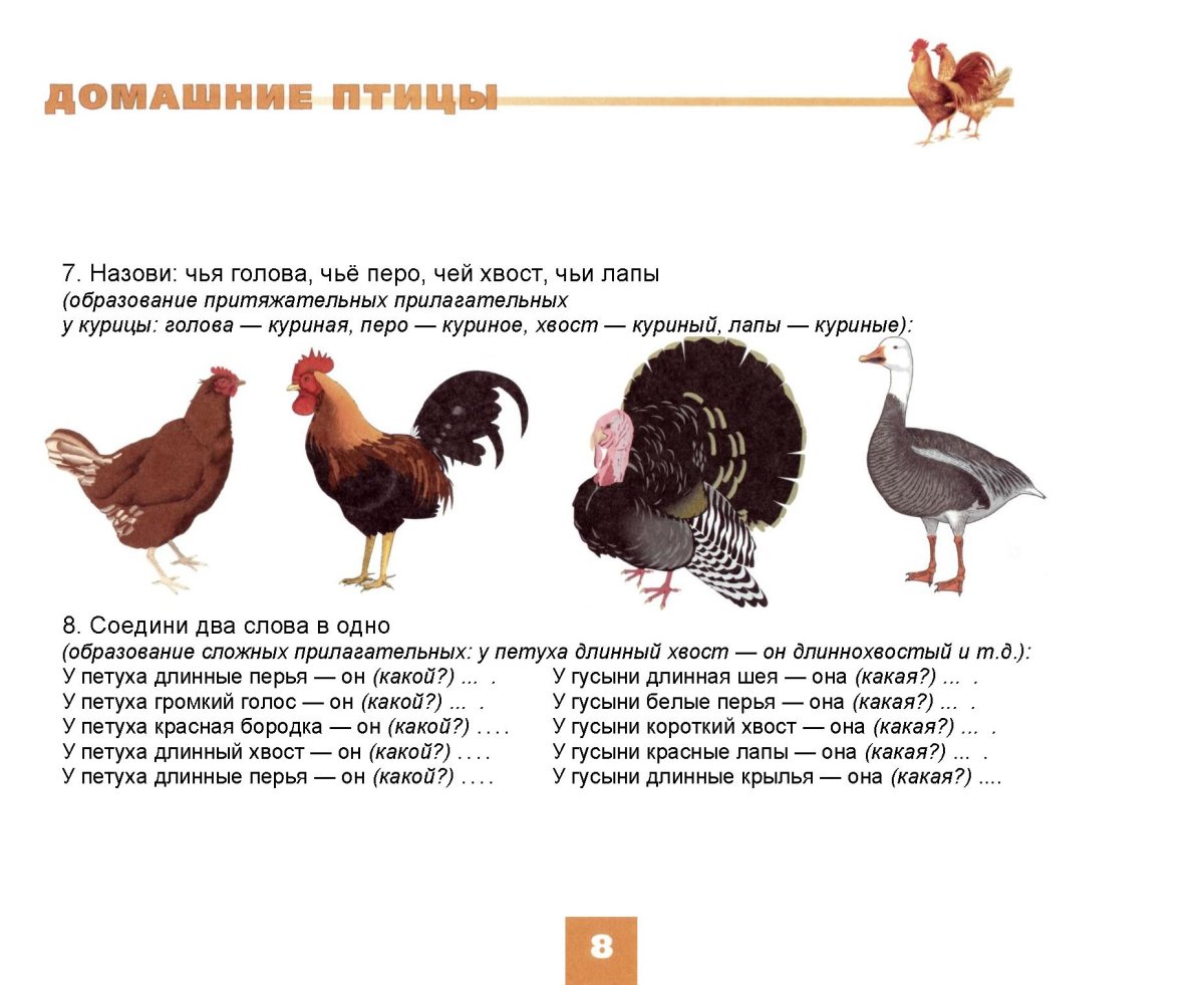 Домашние птицы чье перо