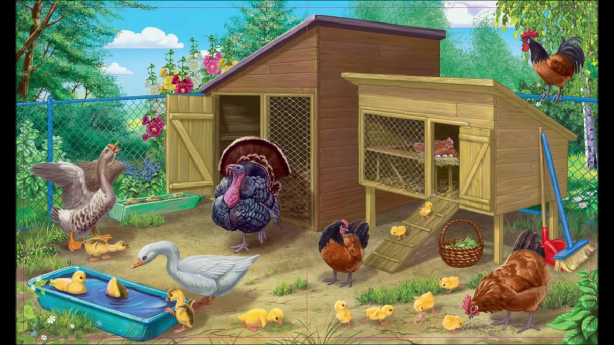 Птичий двор Нищева