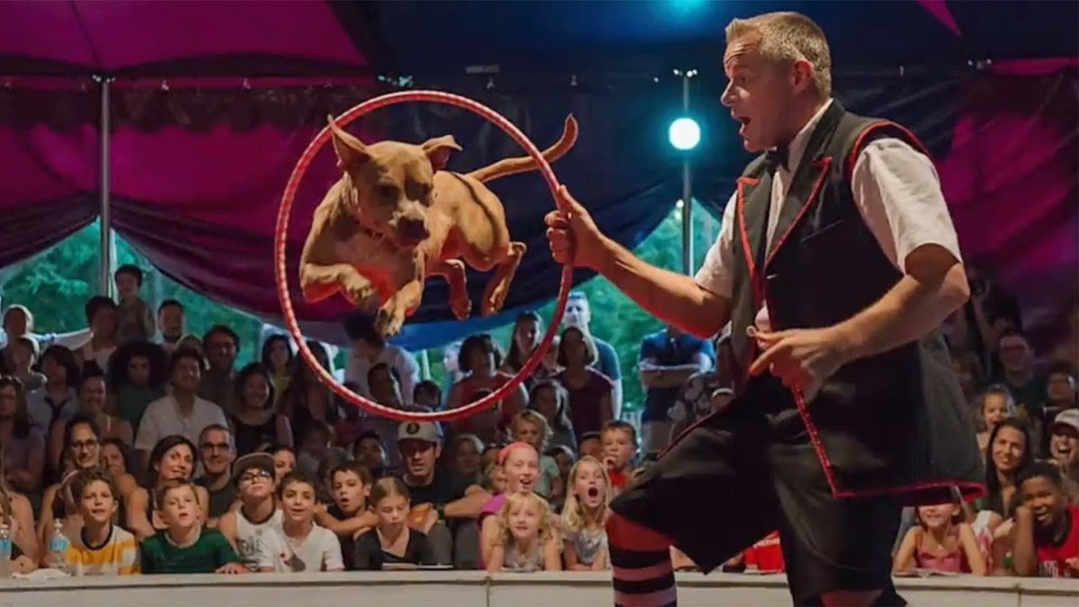 Итальянский новый год цирк