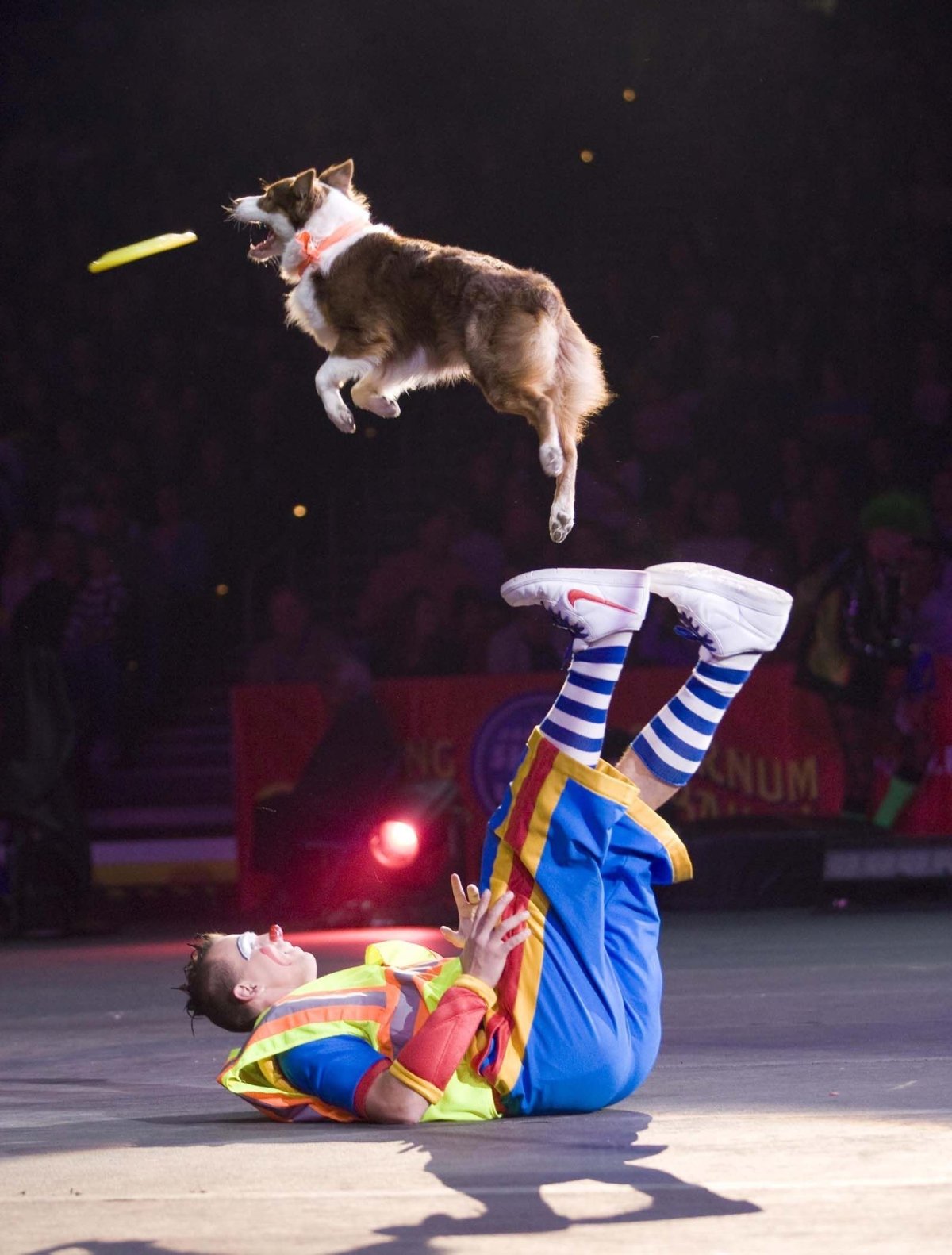 Дрессировщик для детей