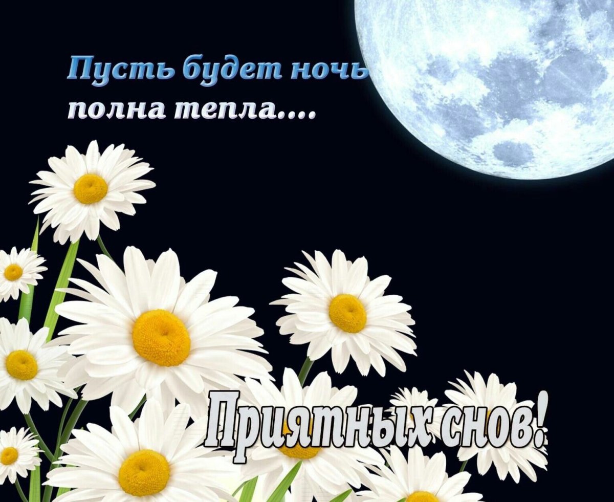 Благословенной ночи сладких снов