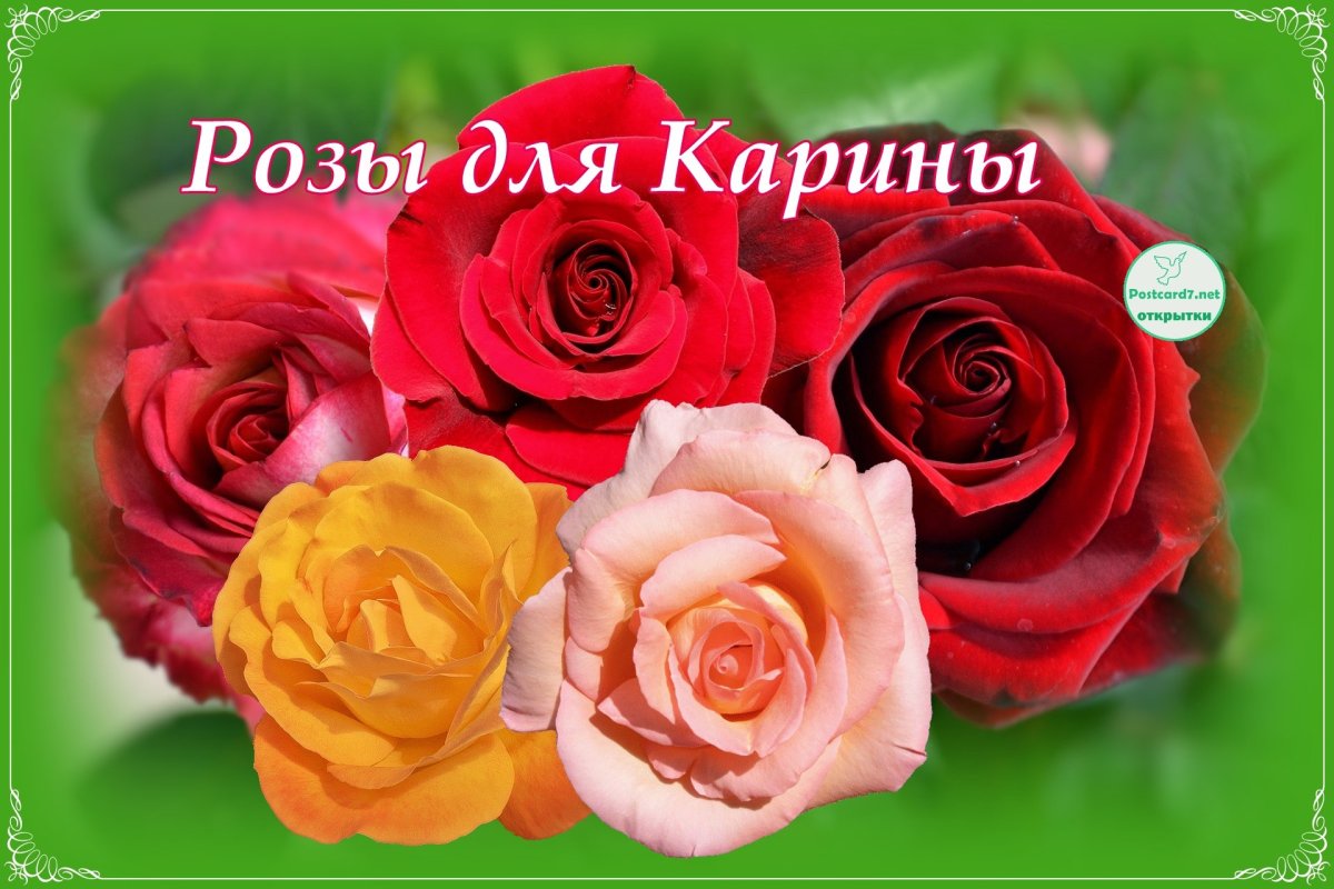 Поздравить Карину с днем рождения