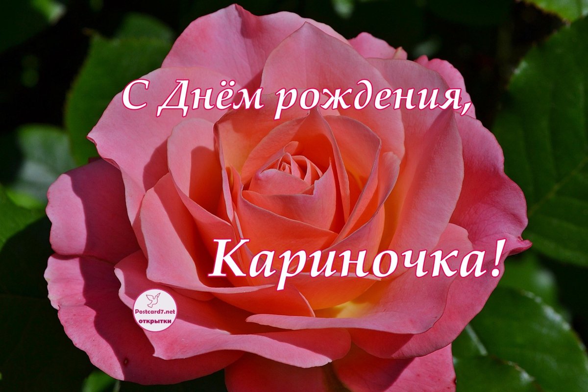 Поздравления с днём рождения Карине
