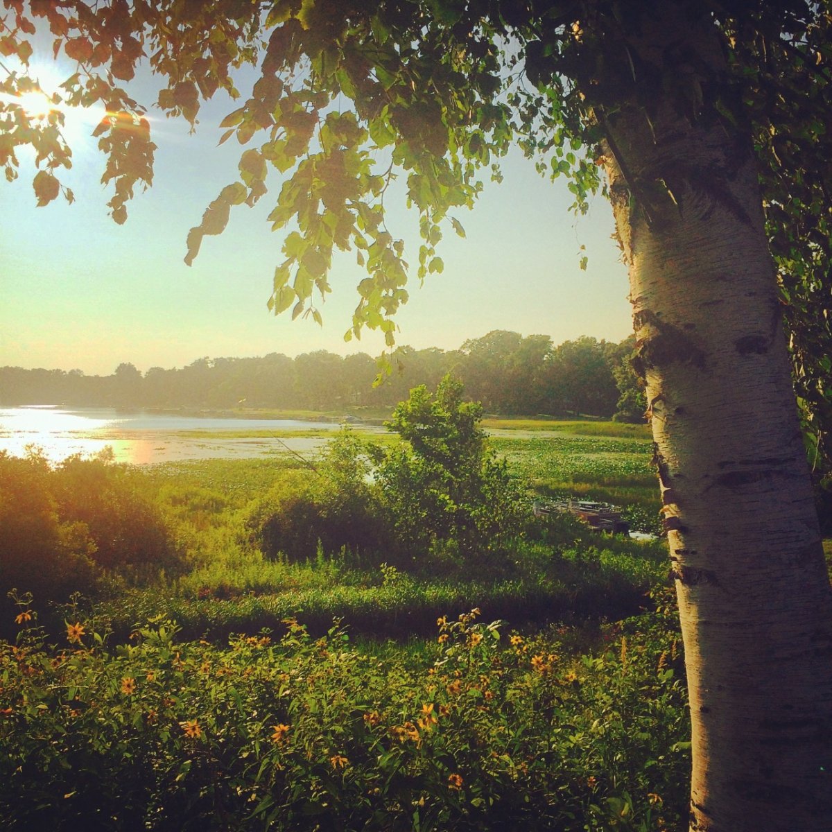 Что для меня природа