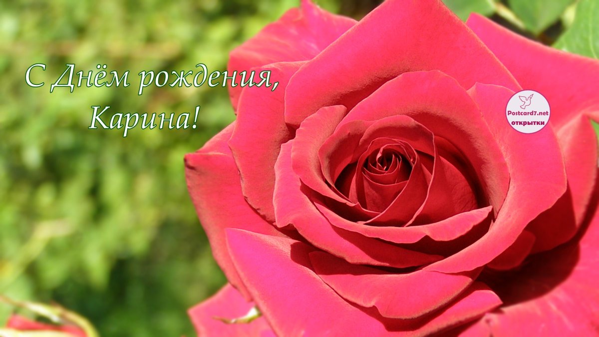 Поздравления с днём рождения Арине