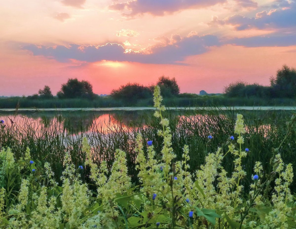 Августовский пейзаж