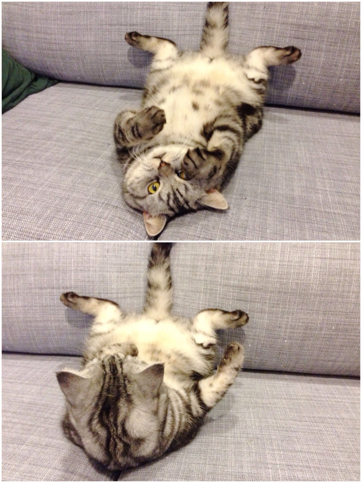 Прикольные странички ВК