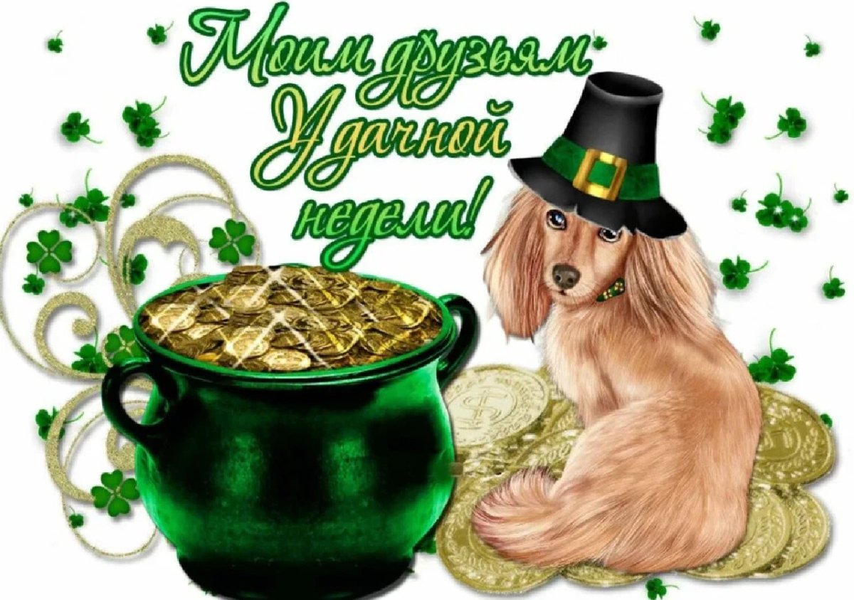 Добрый день Инстаграм