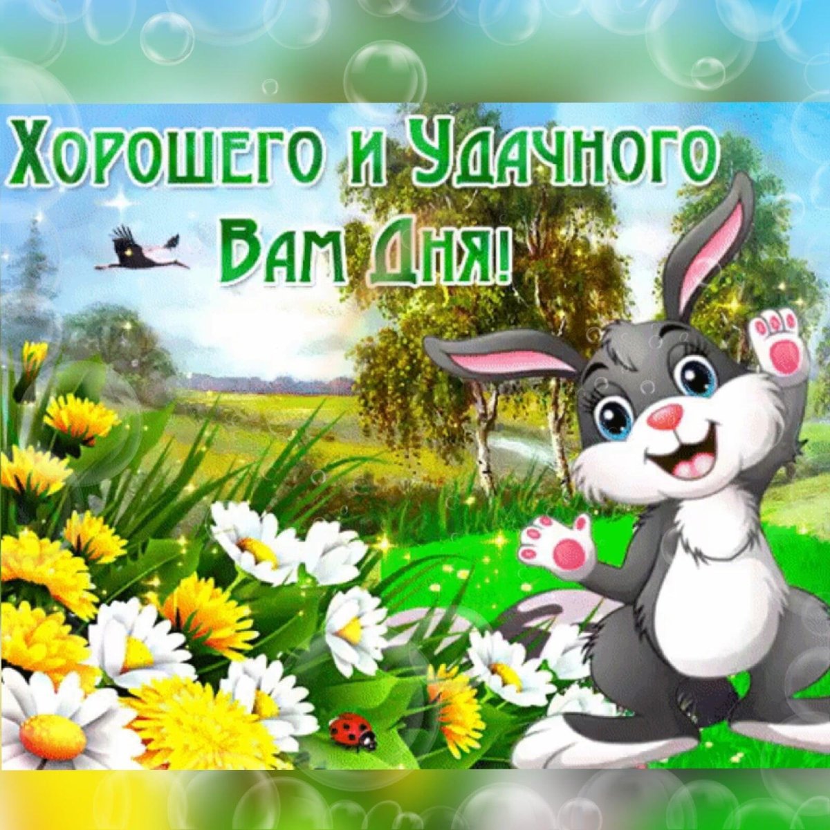 Удачного дня