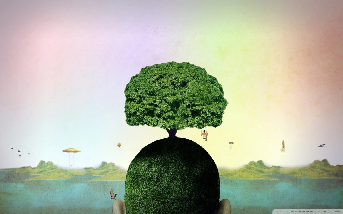 Умные цитаты