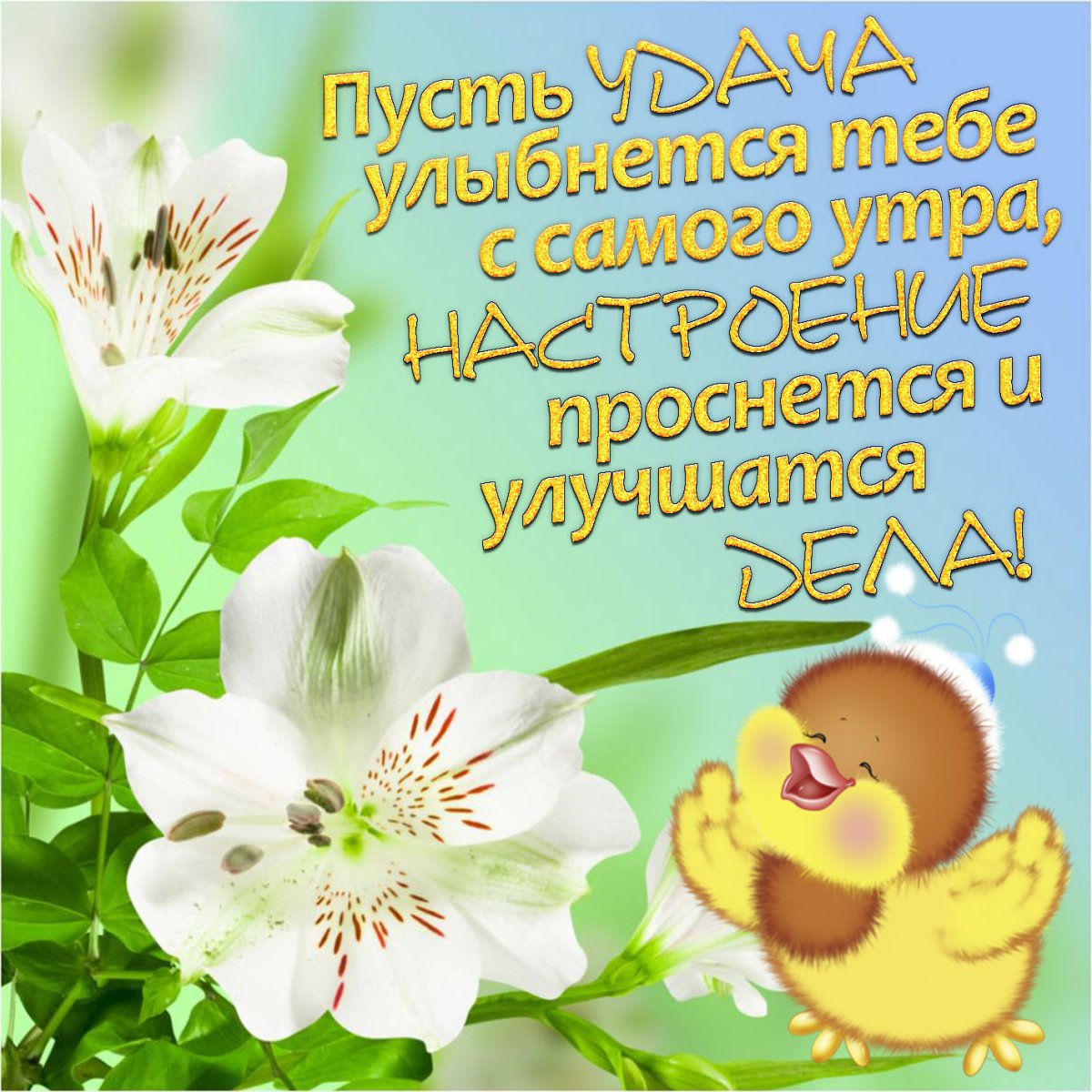 Хорошего дня и удачи