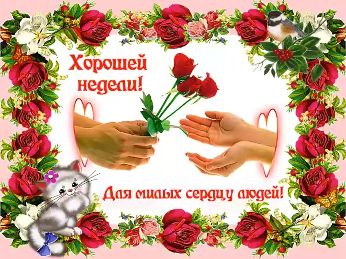 Отличной недели