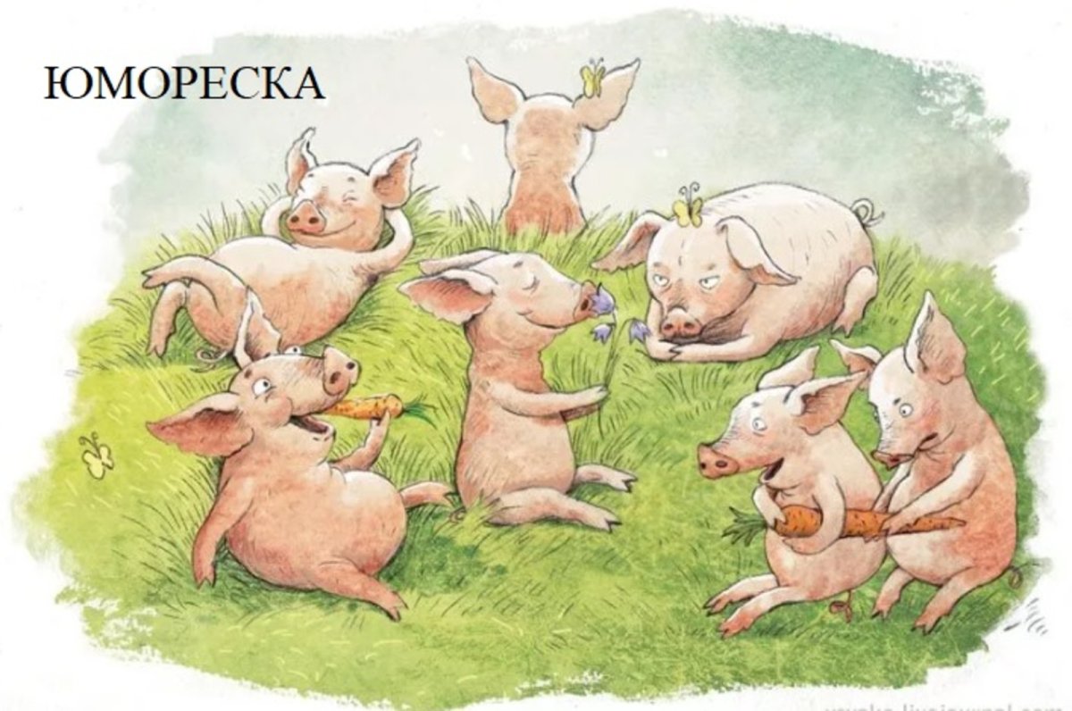 Смешные поросята иллюстрации