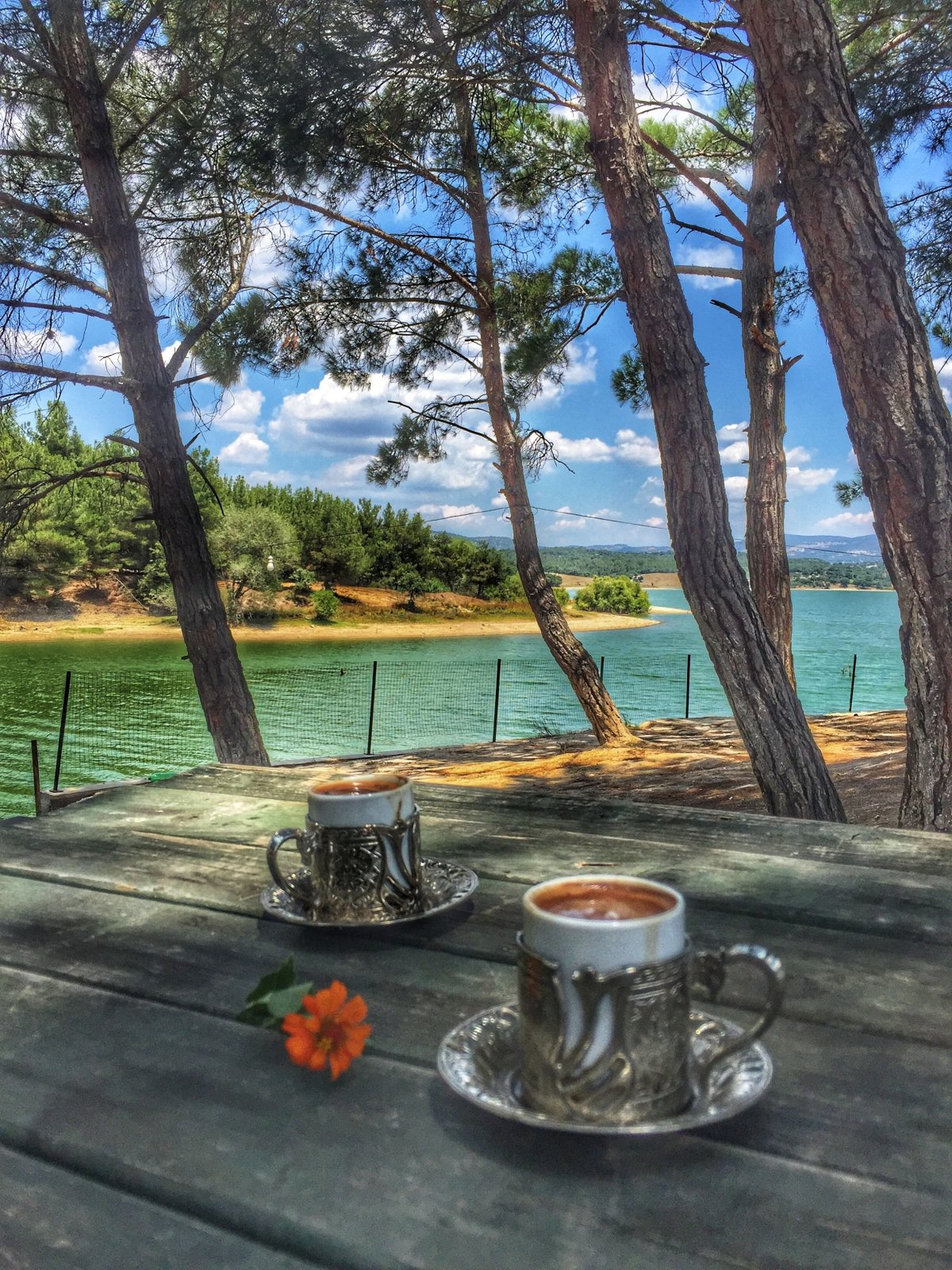 Доброго дня природа