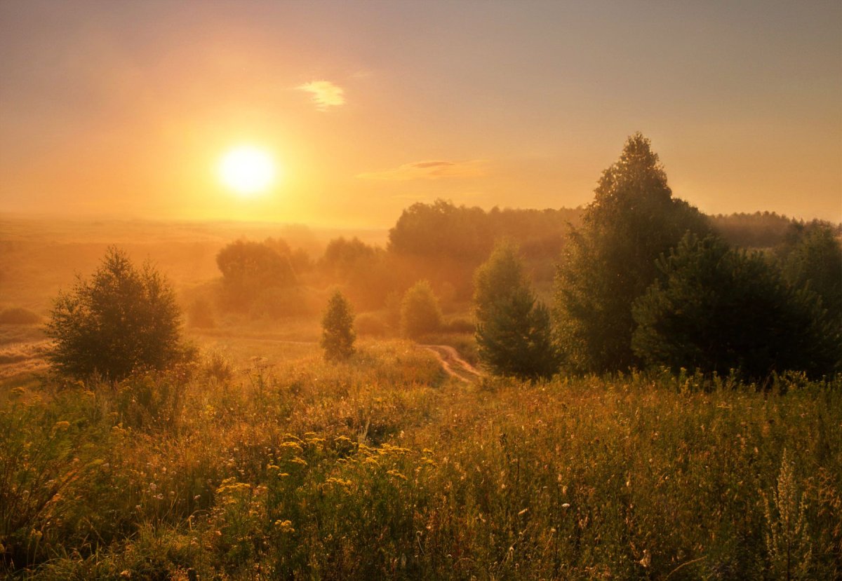 Фон пейзаж солнце