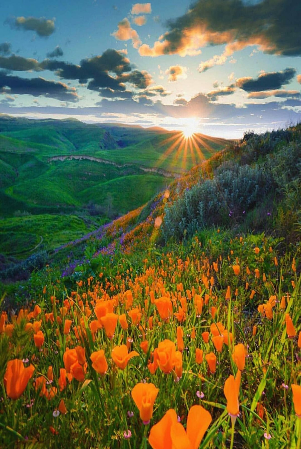 Красота русской природы