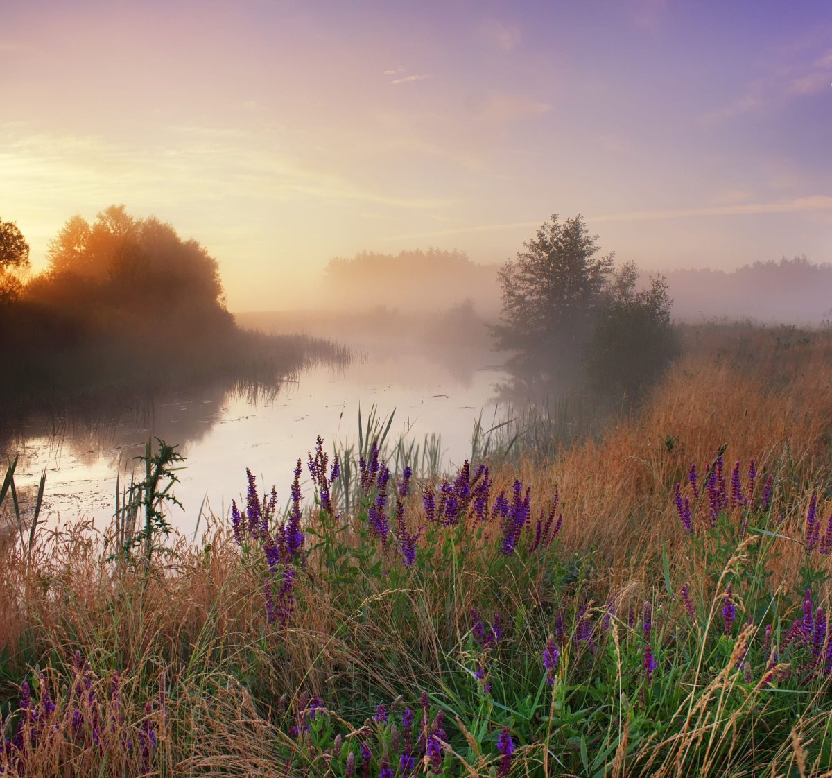 Красивый рассвет